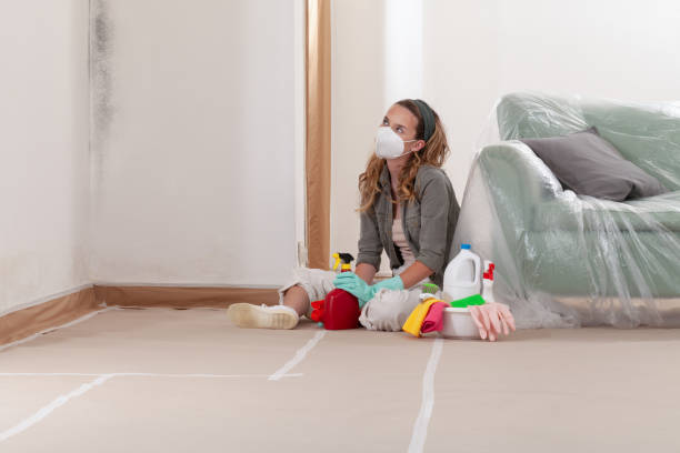 Reliable Mold Remediation contractor in Waverly, VA by WQB Mold Removal